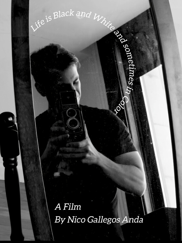 Life is Black and White and sometimes in Color film poster